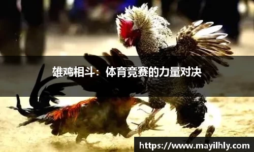 雄鸡相斗：体育竞赛的力量对决